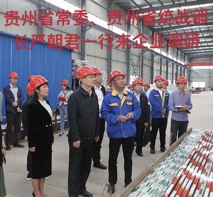 貴州省常委、貴州省統(tǒng)戰(zhàn)部長嚴朝君一行來企業(yè)調研